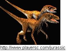 raptorsa.jpg