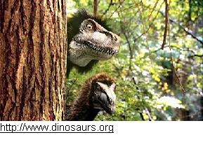 raptorsb.jpg